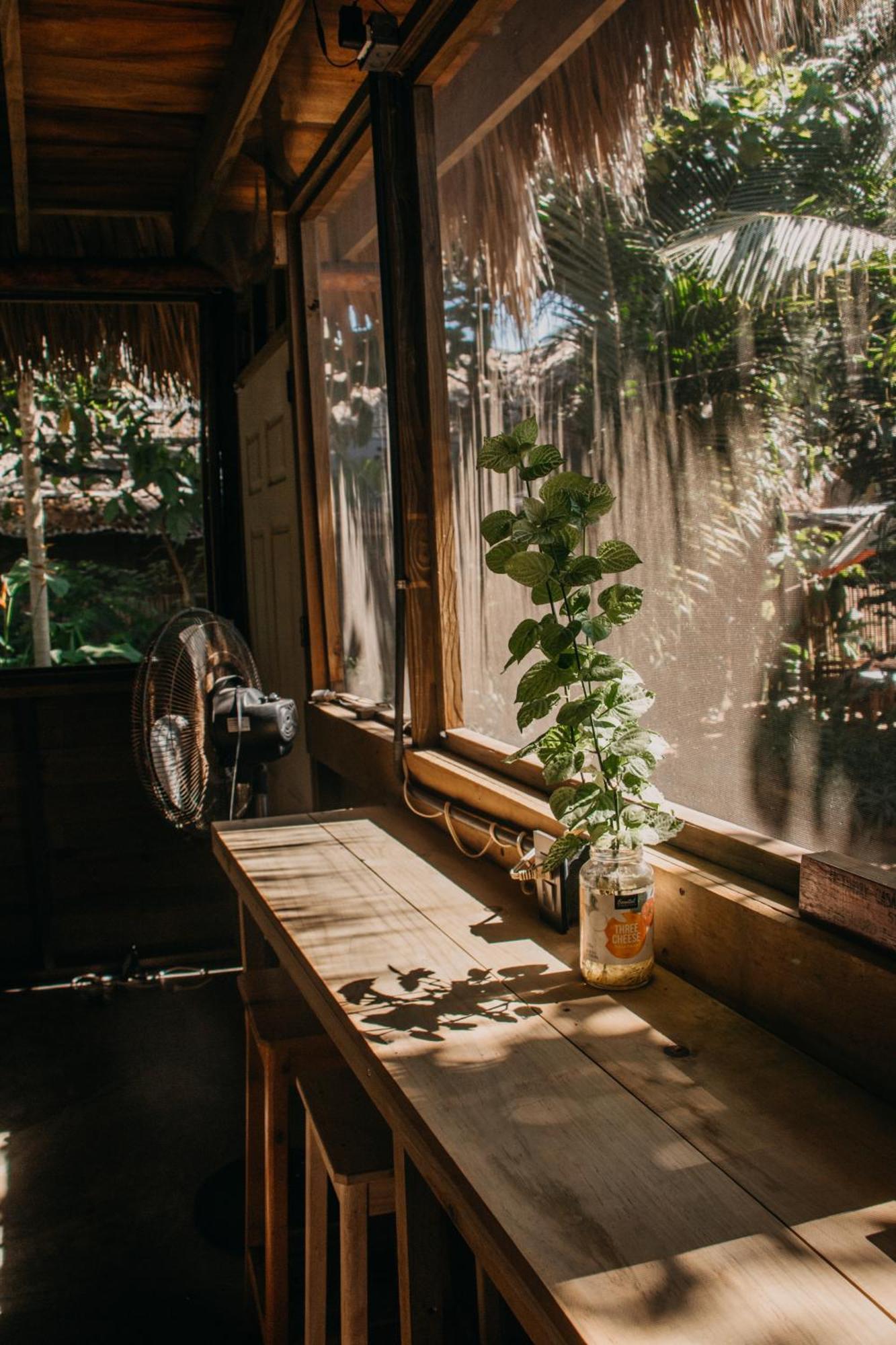 Casa Austera Villa El Paredón Buena Vista Dış mekan fotoğraf