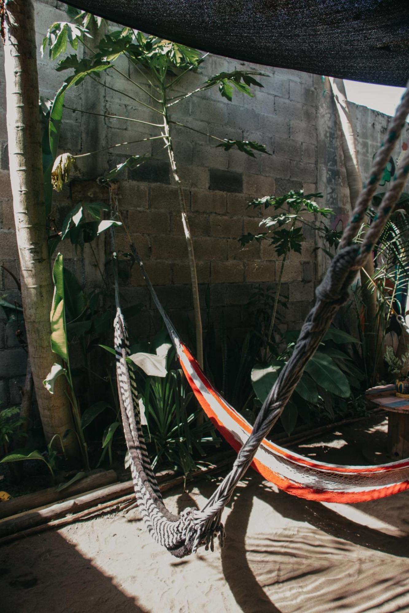Casa Austera Villa El Paredón Buena Vista Dış mekan fotoğraf