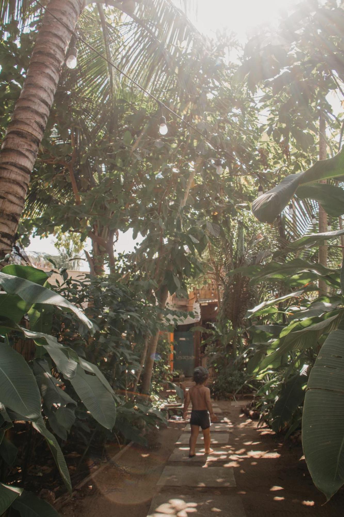 Casa Austera Villa El Paredón Buena Vista Dış mekan fotoğraf